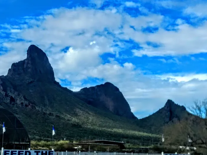 Picacho Peak RV Resort Picture 6