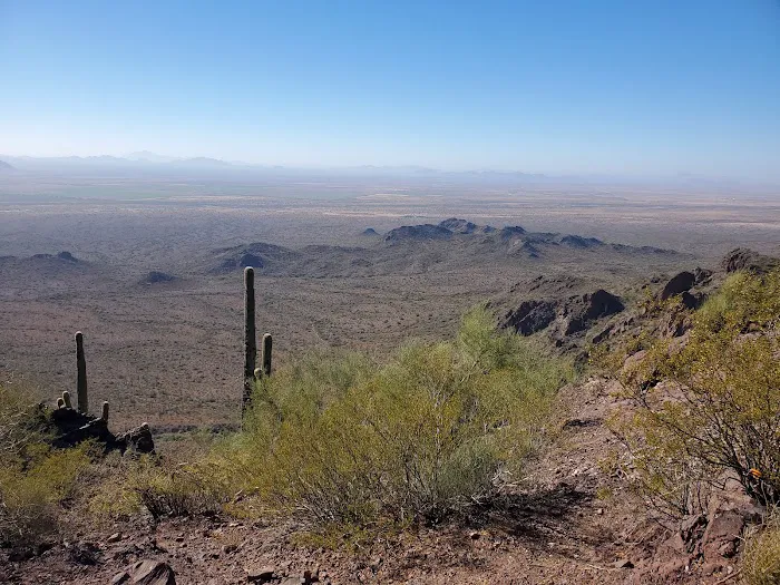 Picacho Peak RV Resort Picture 9
