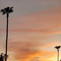 Spanish Trails West ico