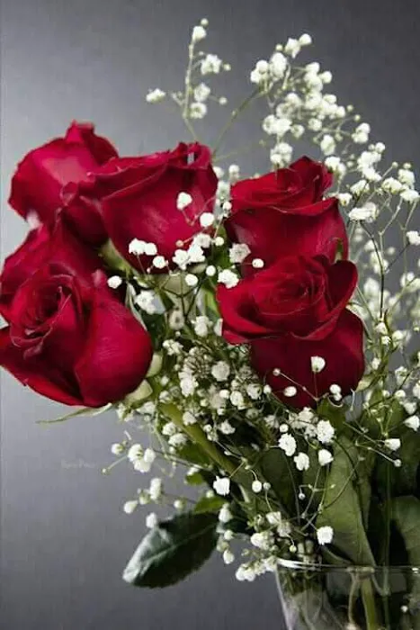 La Posada MHC Picture 3