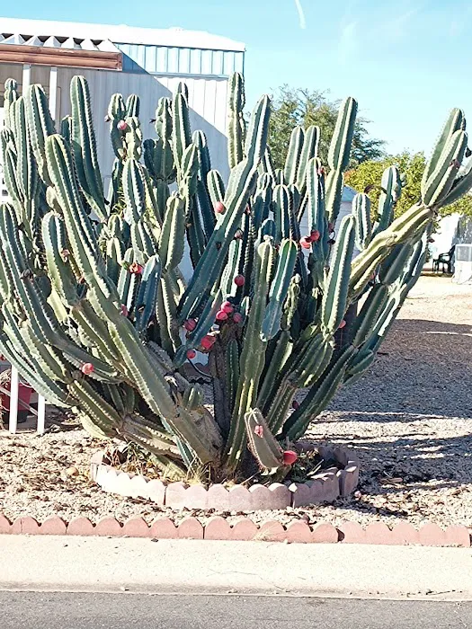 Sunwest Resort Village Picture 2