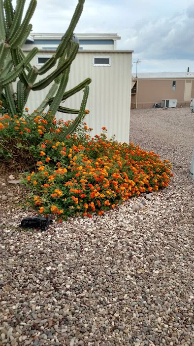 Sunwest Resort Village Picture 4