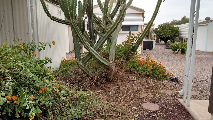 Sunwest Resort Village Picture 10