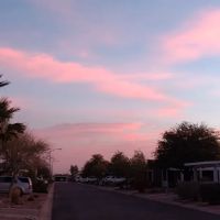 Rodeo Estates MHP ico