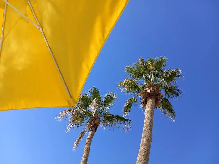 Casa Grande RV Resort and Cottages Picture 10