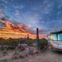 Tucson Snowbird Nest ico