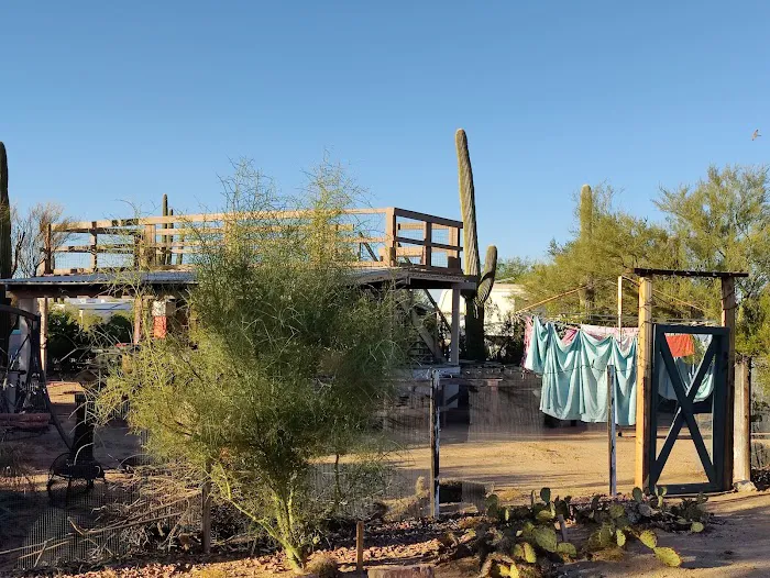 Tucson Snowbird Nest Picture 3
