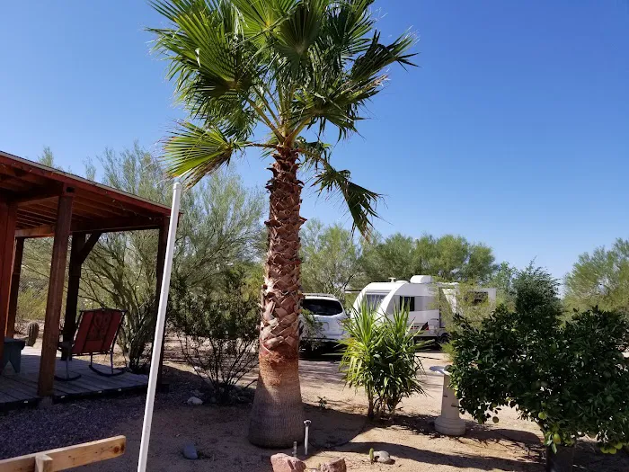 Tucson Snowbird Nest Picture 5