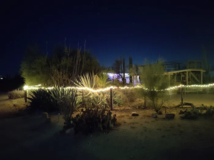 Tucson Snowbird Nest Picture 6
