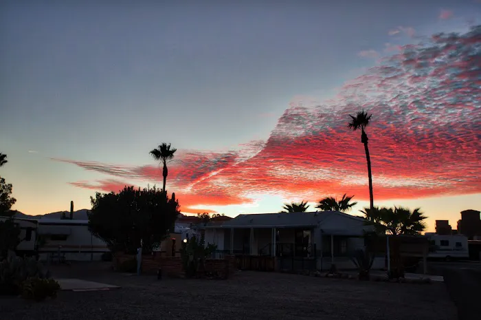 South Forty RV Ranch/Park Picture 10