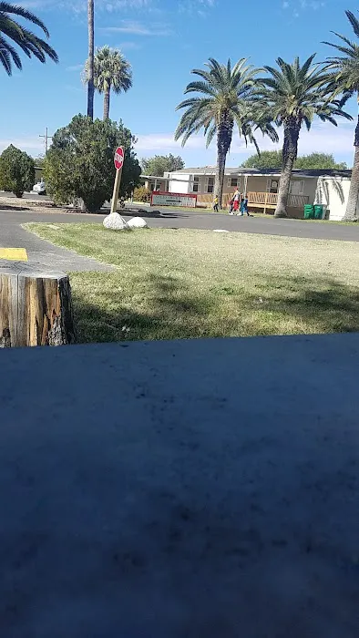 Acacia Gardens Picture 7