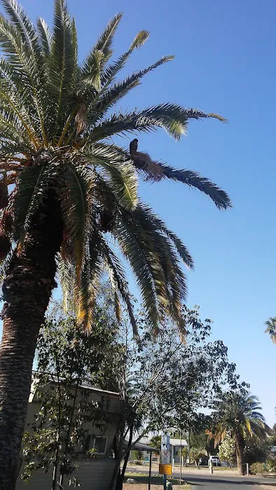 Acacia Gardens Picture 8