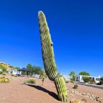 The Highlands Mobile Home Park