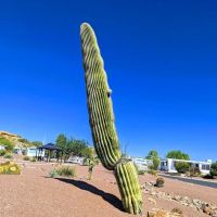 The Highlands Mobile Home Park ico