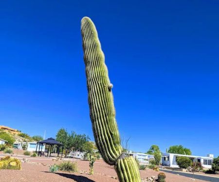 The Highlands Mobile Home Park