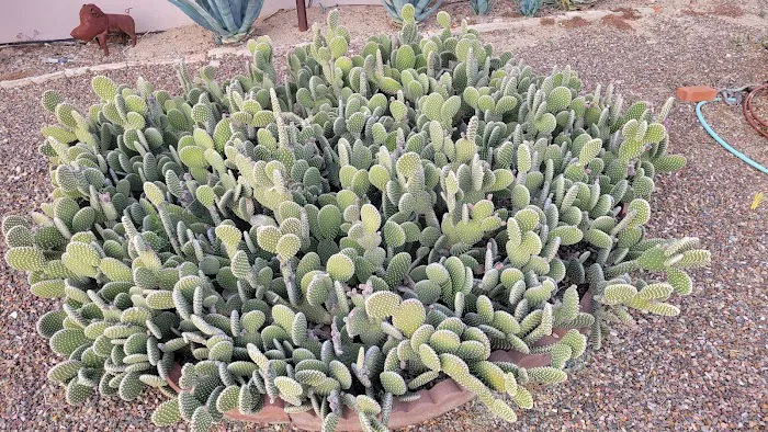 The Highlands Mobile Home Park Picture 10