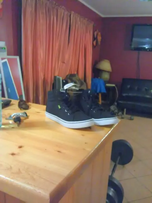 Palm Vista Picture 3