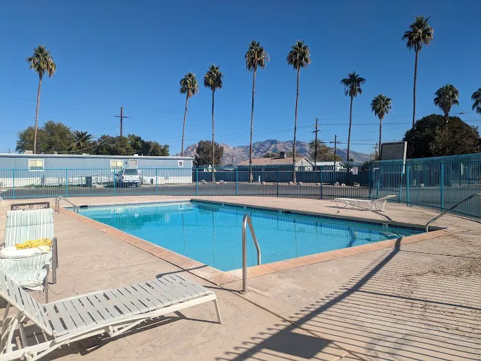 Palm Vista Picture 1