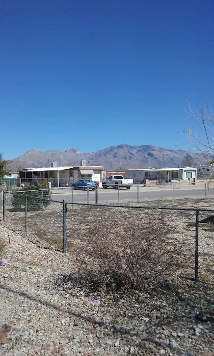 Silver Cholla Mobile Home & RV Park Picture 2