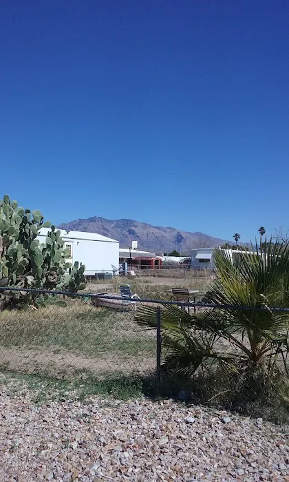 Silver Cholla Mobile Home & RV Park Picture 7