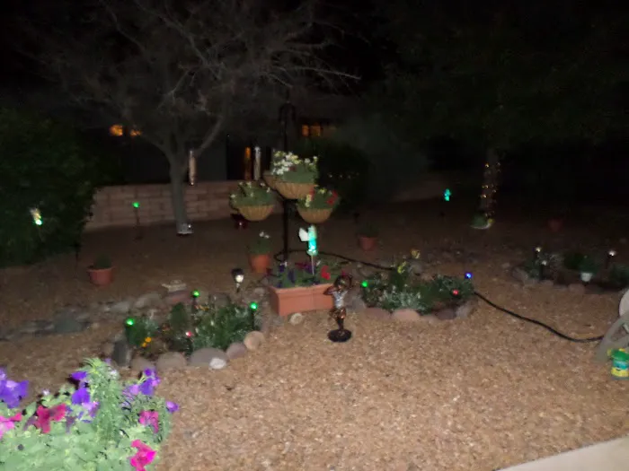 Flowing Wells Mobile Gardens 55+ Community Picture 6