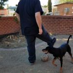 Santa Catalina Mobile Home Park