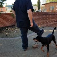 Santa Catalina Mobile Home Park ico