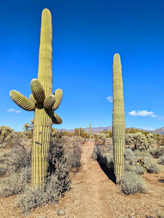 Justin's Diamond J RV Park Picture 1