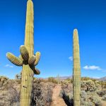 Justin's Diamond J RV Park