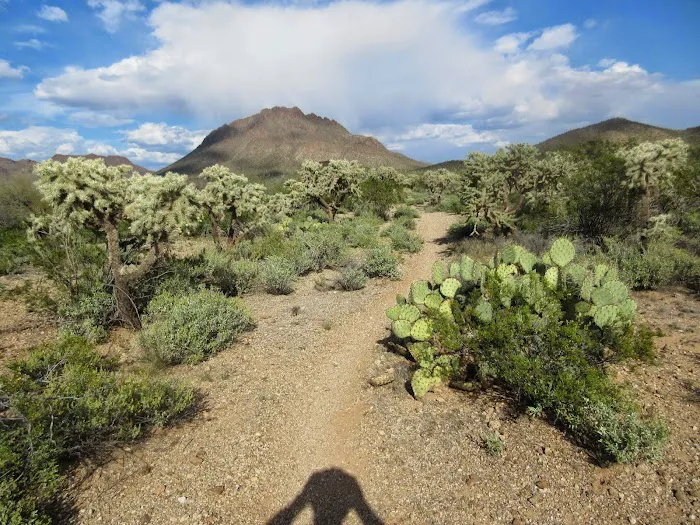 Justin's Diamond J RV Park Picture 2