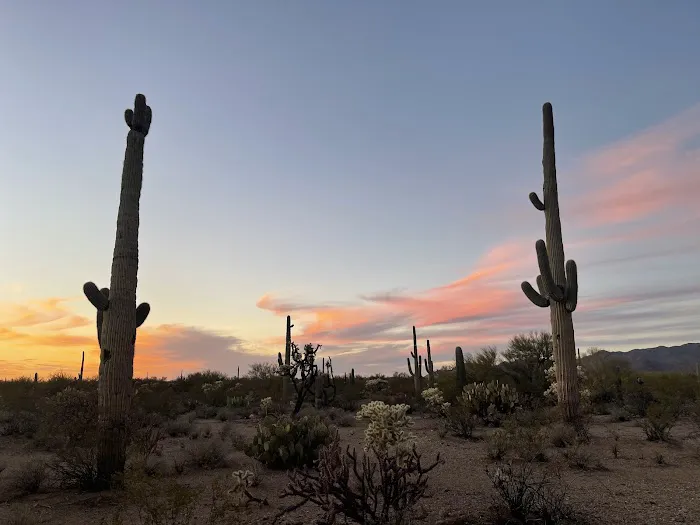 Desert Trails RV Park Picture 2
