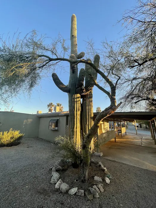 Desert Trails RV Park Picture 3