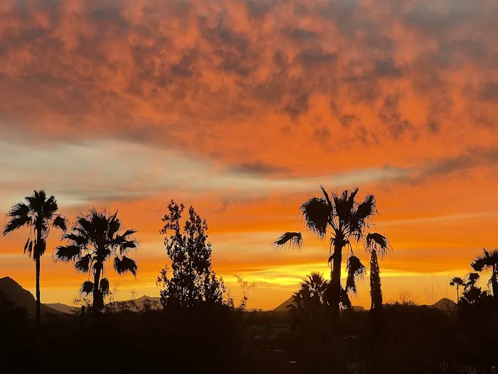 Desert Trails RV Park Picture 4