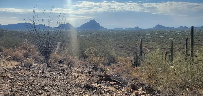 Desert Cove Picture 10