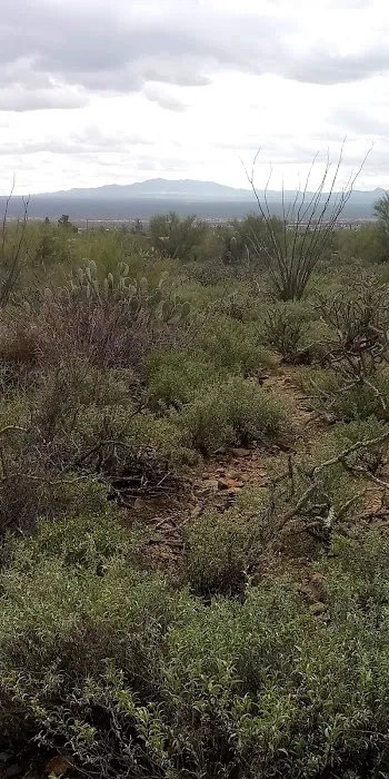 Desert Cove Picture 9