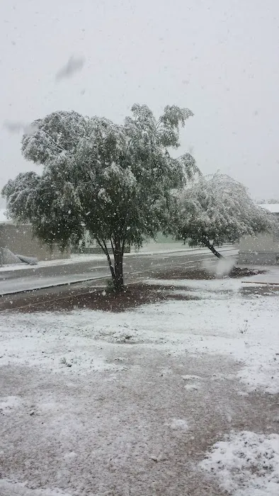 Desert Cove Picture 8