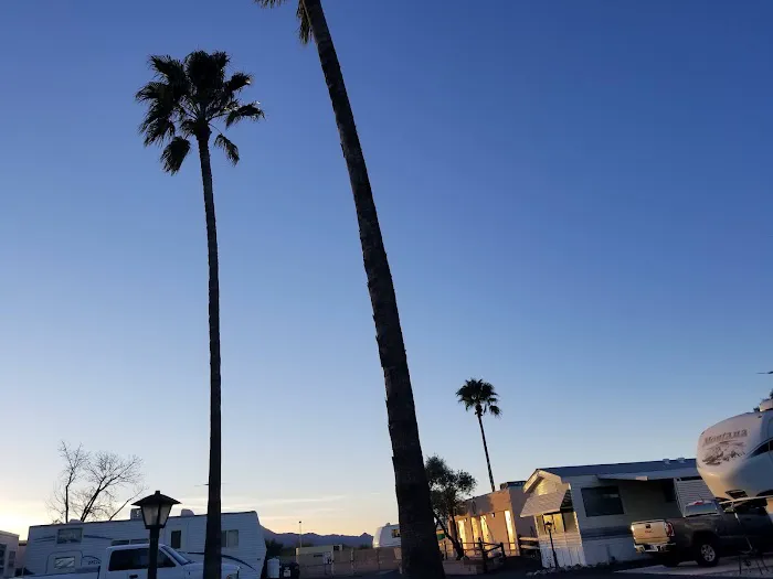 Prince of Tucson RV Park Picture 9