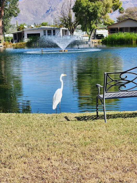 Swan Lake Estates Picture 1