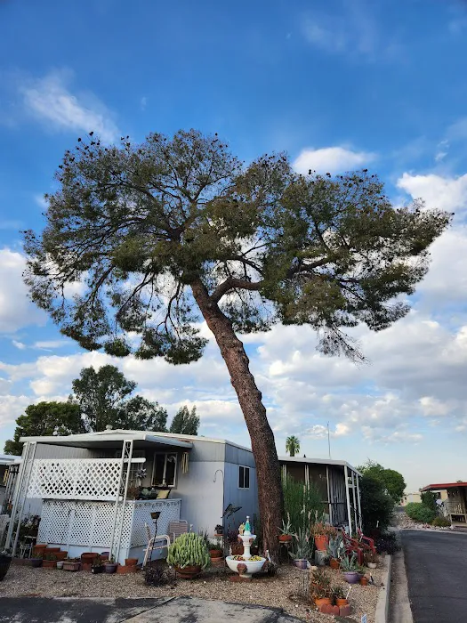 Swan Lake Estates Picture 2