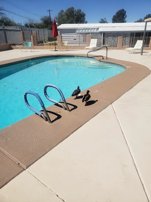 Swan Lake Estates Picture 3