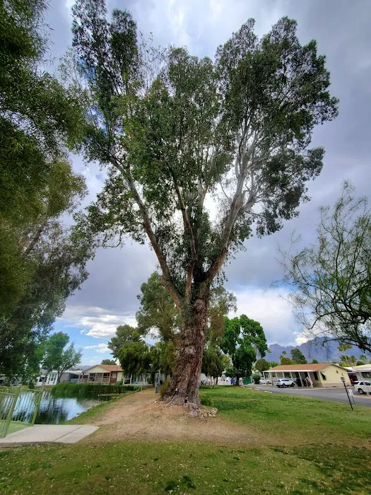 Swan Lake Estates Picture 10