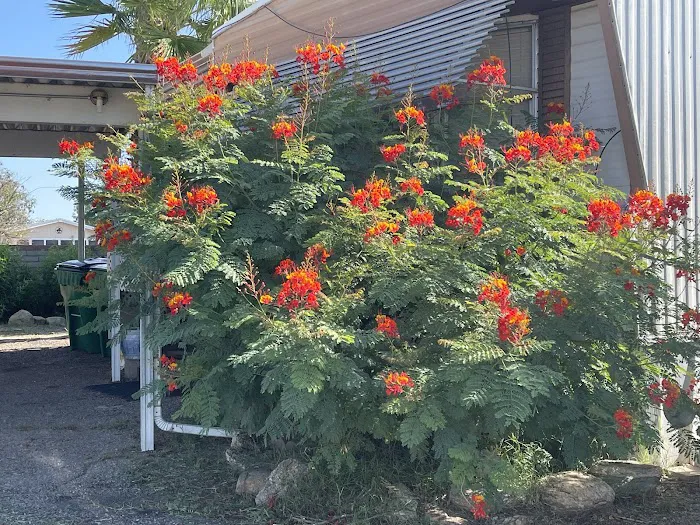 Carefree Village Estates Picture 10