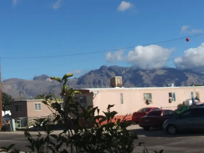 Leisure Village Mobile Home Picture 10