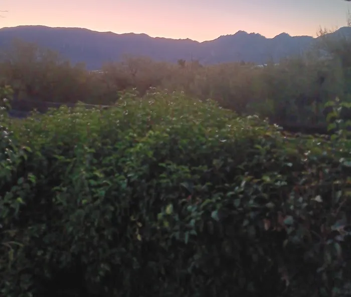 Catalina Country Manufactured Home Community Picture 8