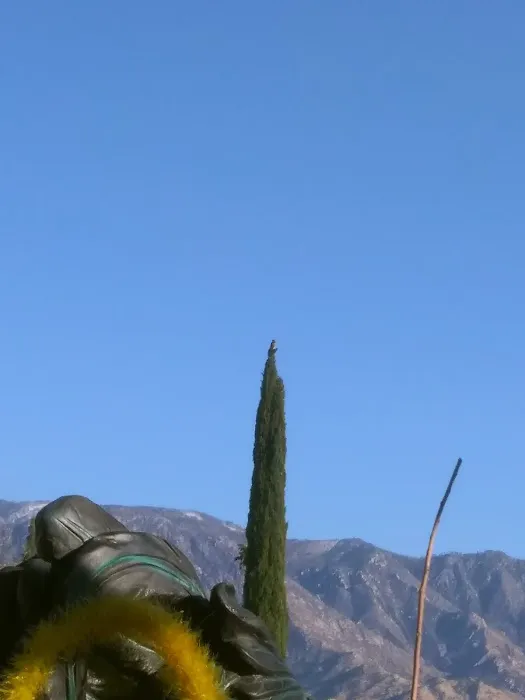 Catalina Country Manufactured Home Community Picture 9