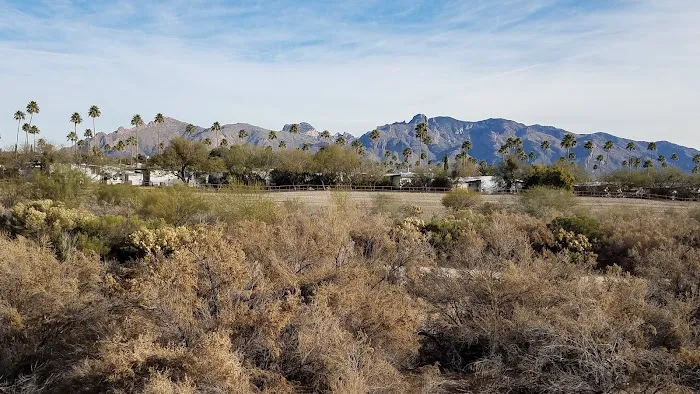 Friendly Village - Catalinas Picture 3