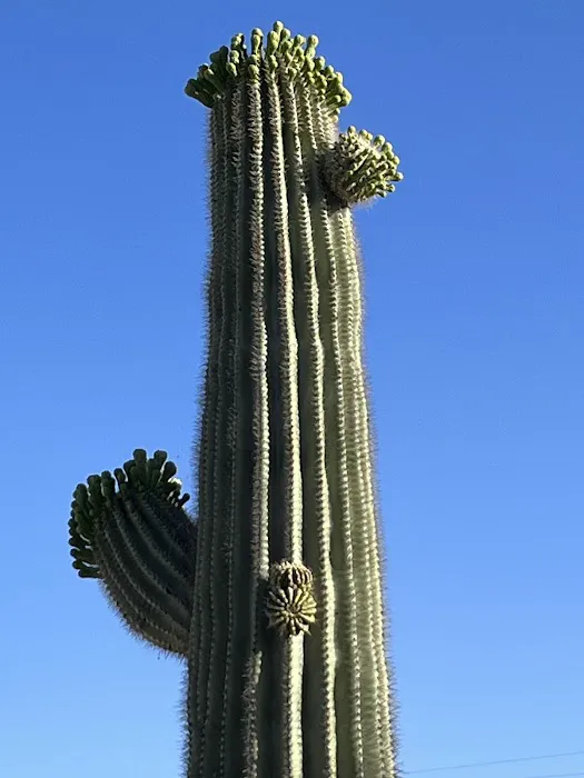 Wishing Well Trailer Court/Wishing Well RV Park Picture 2