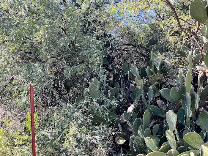 Wishing Well Trailer Court/Wishing Well RV Park Picture 10