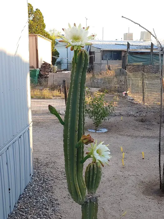 Pueblo Springs MHP Picture 4