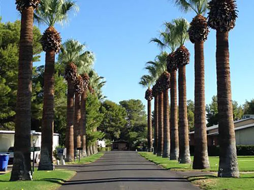 Crescent Manor Manufactured Home Community Picture 5